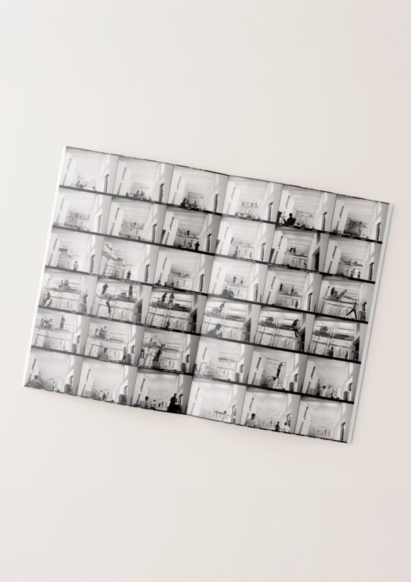 Hashimoto_Silence_Still_Governs_Our_Consciousness_3
