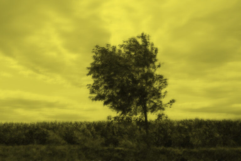 Davide Coltro, QM-System 19_00, 2024 Studio la Città, Contemporary Art