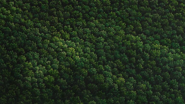Franco Passalacqua - Studio la Città - Verona