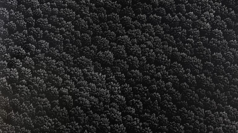 Franco Passalacqua - Au Clair de Lune- 2025 - Studio la Città - Verona - Contemporary Art