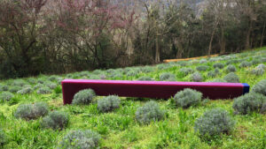 Herbert Hamak - Villa Valmarana ai Nani - Bosco - 2026 - Studio la Città - Verona - Arte contemporanea