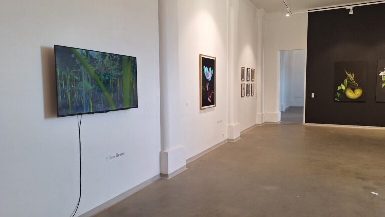 Eelco Brand ad ArtStays, festival di arte contemporanea