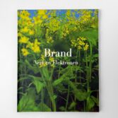 Brand_Verf_En_Elektronen_1