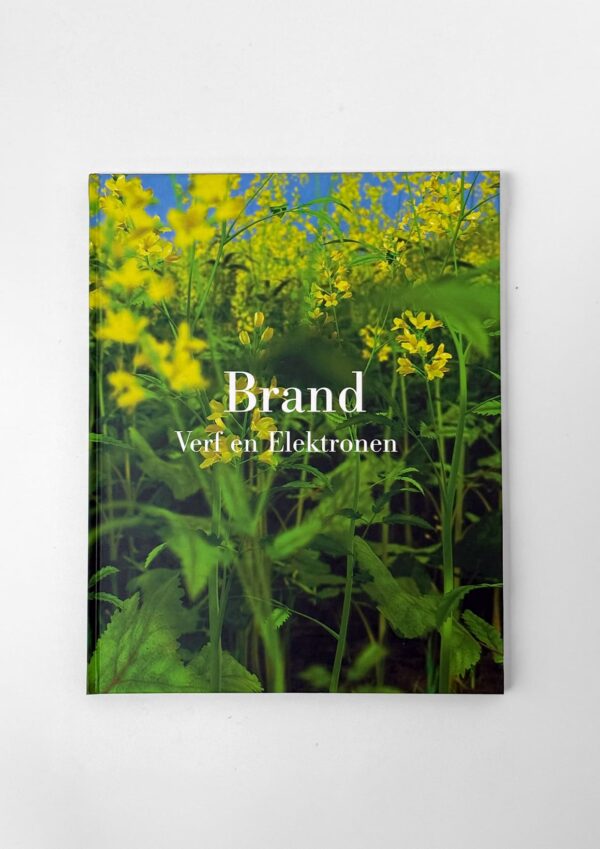 Brand_Verf_En_Elektronen_1