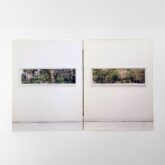 Castella_Affreschi_e_Collezioni_Botaniche_2