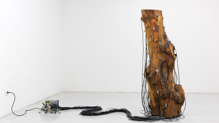 Soniche Vibrazioni Computazionali - Roberto Pugliese - 2011 - Studio la Città - Verona - Arte contemporanea