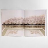 Una_Collezione_Segreta_4